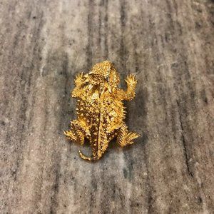 Vintage Horned Toad Hat Pin